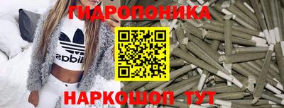 шишки Анжеро-Судженск